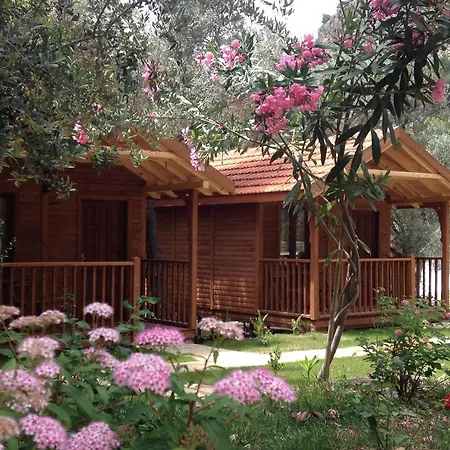 Kidrak Otel Montenegro-1 Affittacamere *