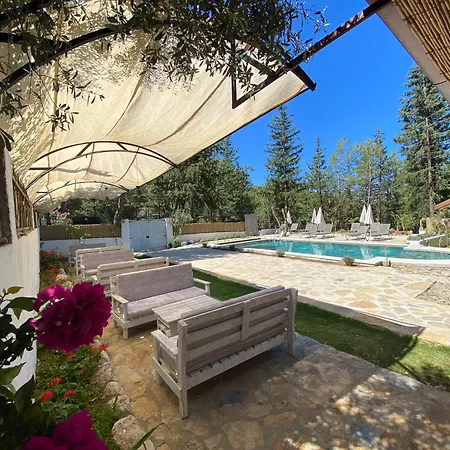 Kidrak Otel Montenegro-1