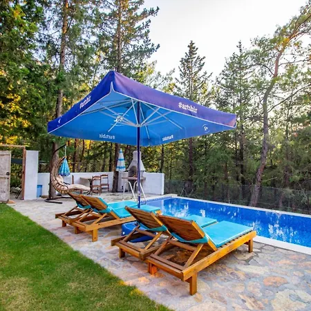 Kidrak Otel Montenegro-1 Guest house *