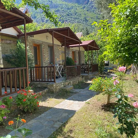 Kidrak Otel Montenegro-1