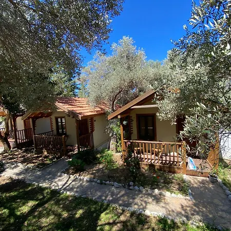 Kidrak Otel Montenegro-1 Guest house